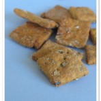 南瓜高纤粗麦饼干