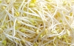 黄豆芽的营养价值与饮食禁忌