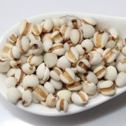 【薏米仁的功效与作用】炒薏米仁的功效与作用