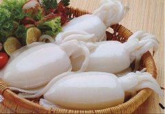 墨鱼不能和什么一起吃