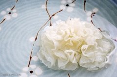 银耳不能和什么一起吃
