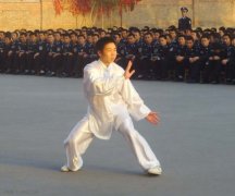 武当太极九式