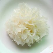 【银耳的功效与禁忌】银耳还有哪些用途_银耳怎么选才是好的