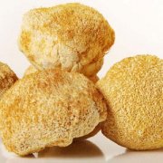 【猴头菇能吃吗】猴头菇怎么泡_猴头菇怎么挑选_猴头菇的营养价值
