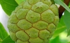 吃番荔枝有什么好处