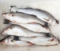 【海鲈鱼】海鲈鱼的做法_海鲈鱼怎么做好吃
